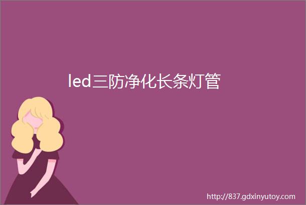 led三防净化长条灯管